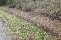 Déchets aux paniers / Après ramassage