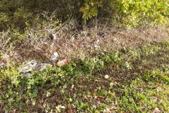 Déchets aux paniers / Avant ramassage
